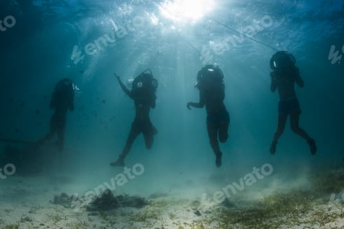 Preview: helmet diving silhouettes