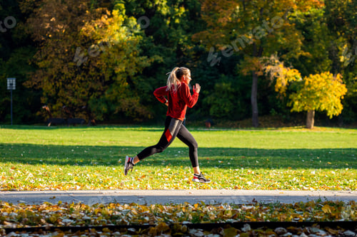 Preview: Side view of young woman running in park.
