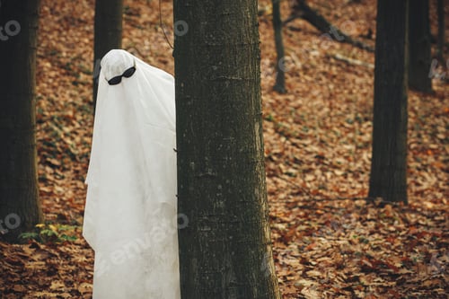 Preview: Happy Halloween! Funny ghost with black glasses peeking out of a tree in moody autumn forest