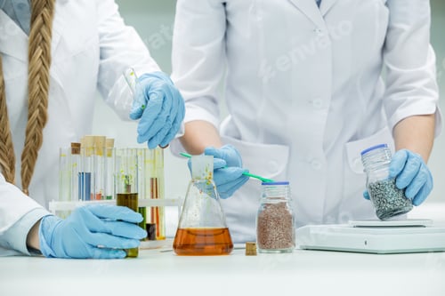 Preview: Mid section view of female scientists working in laboratory