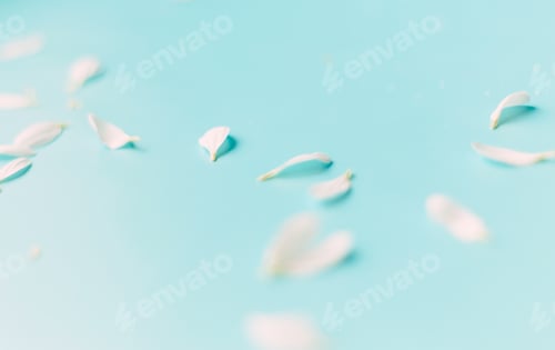 Preview: Elegant White Petals Floating on Light Blue Background
