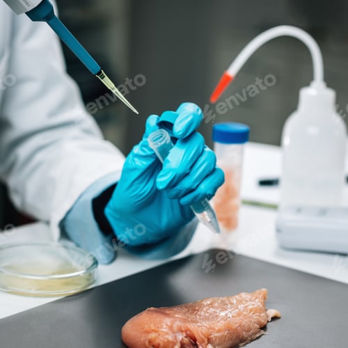 Preview: Food Quality Assessment.