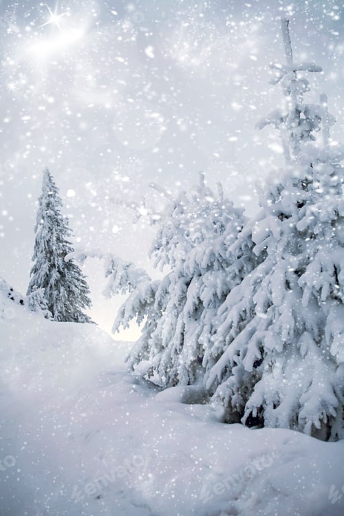 Preview: Fantastic winter landscape