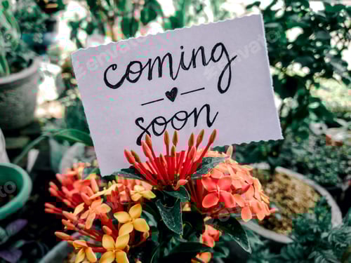 Preview: Coming soon