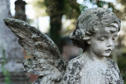 Preview: Beautiful statue of angel at cemetery. Religious symbol