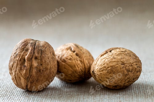 Preview: Close-up of walnuts in wooden shell isolated on light copy space background.