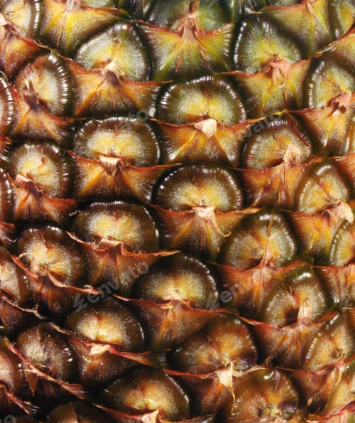 Preview: Pineapple close up background