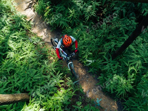 Preview: Aerial view of cross country biking in summer forest