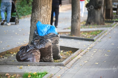 Preview: Pile of black garbage bags full of litter left for pick up on street side. Trash disposal concept.