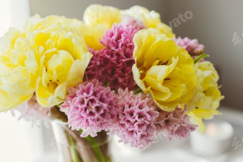 Preview: Beautiful yellow peony tulips and pink hyacinth flower bouquet on white dresser.