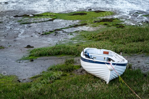 Preview: White rowing boat lies stranded on the grassy shore