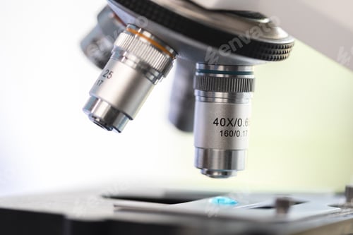 Preview: Scientist analyzing microscope slide at laboratory, technician examining a histological sample