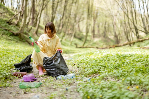 Preview: Woman collecting scattered plastic garbage in the woods