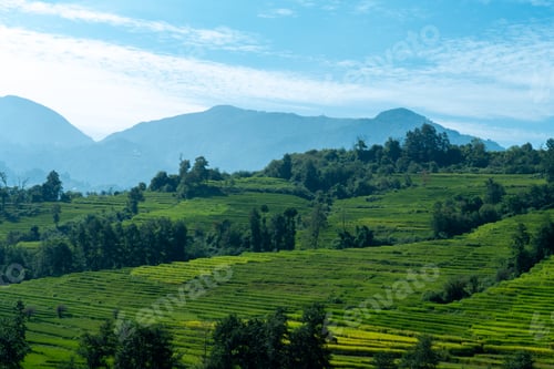 Preview: Terrace Farming Nepal