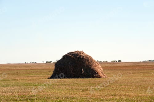 Preview: 55203,Large hay stack in rural crop field