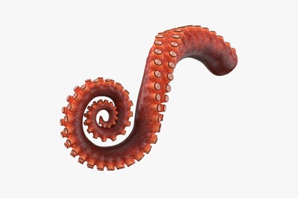 Preview: Textured Octopus Tentacle, Rigged