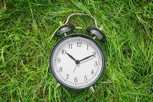 Preview: Alarm clock on green grass, outdoors. Time change concept