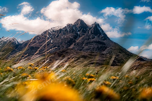Preview: Mountain landscape with wildflowers and clear blue sky