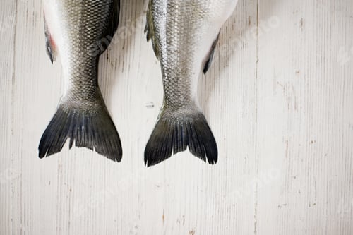 Preview: The tails of two fish side by side