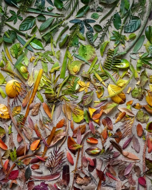 Preview: autumn leaves flat lay,full frame,change of season