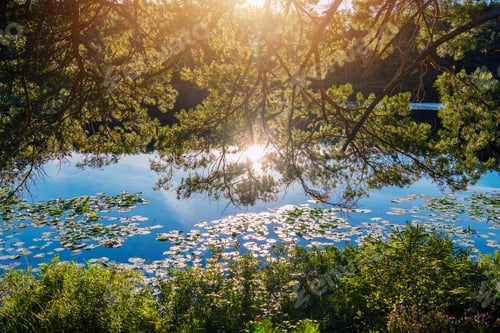 Preview: Scenic Calm Lake Place