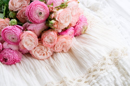 Preview: Female accessories on white