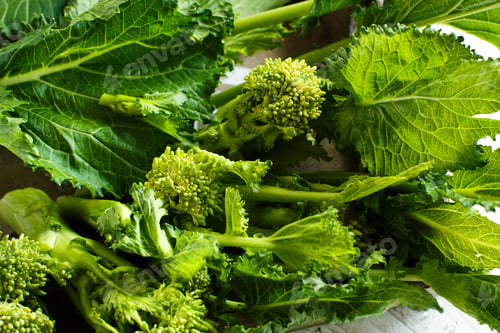 Preview: Turnip greens, Cime Di Rape from Italy