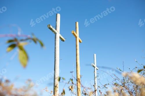 Preview: Low angle view of three wooden cross standing in a natural field setting