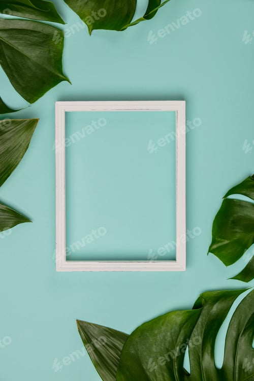 Preview: Img 1902-498tropical plant and white frame2