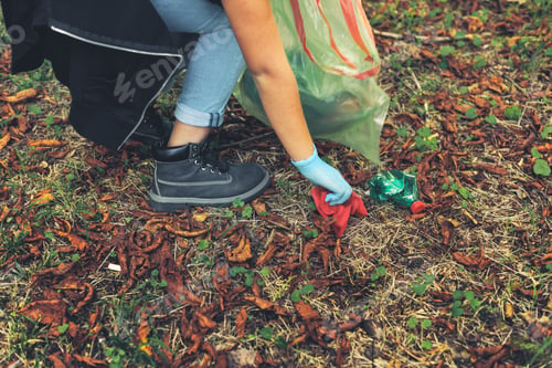 Preview: Woman collecting waste in a forest