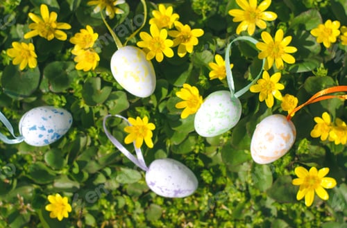 Preview: Easter colorful eggs among yellow flowers in green grass. Easter composition