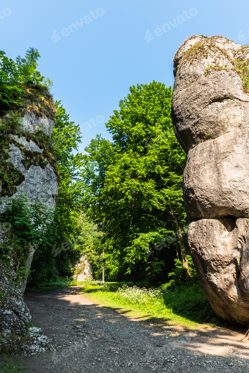 Preview: Cracow Gate Rock Formation in Ojcowski National Park in Poland