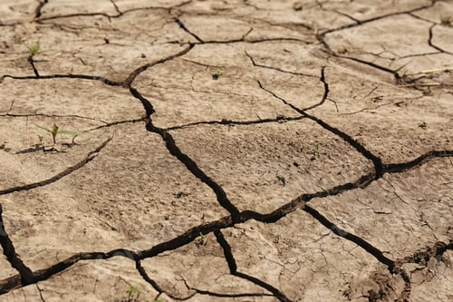 Preview: View of cracked ground surface on sunny day