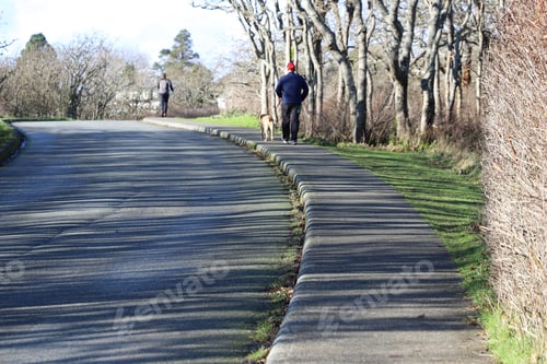 Preview: Shadows fro trees casting on the road