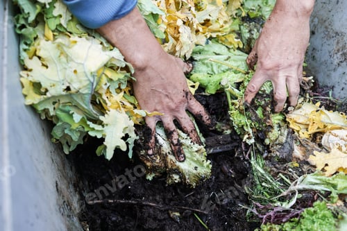 Preview: Farmer man holding compost with worms - Main focus on left hand