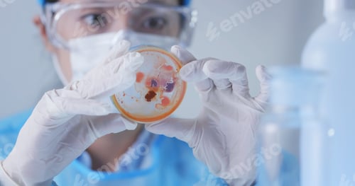 Preview: Scientist observation about petri dish in lab