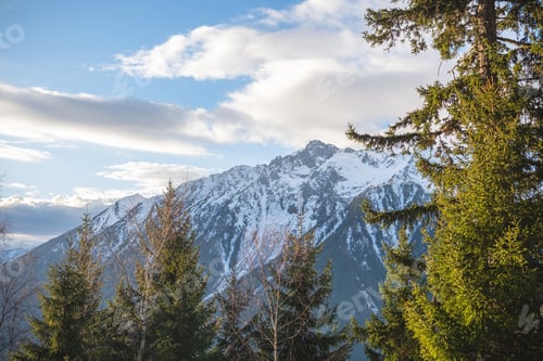 Preview: Snow covered alps mountain peak and pine forest trees under blue sky with clouds