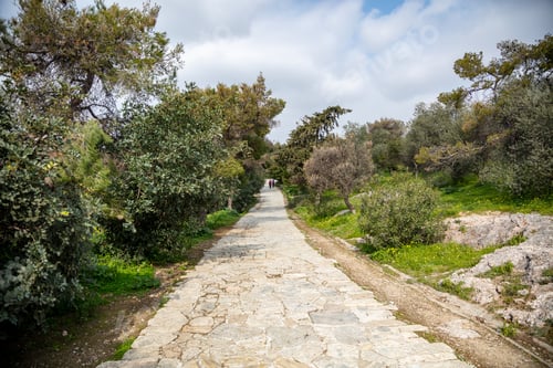 Preview: Filopappou hill, Athens, Greece, trees background.