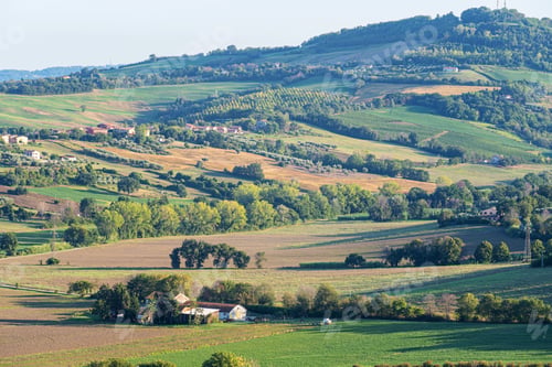 Preview: Panoramic beautiful rural landscape of Toscana. Green fields and meadows