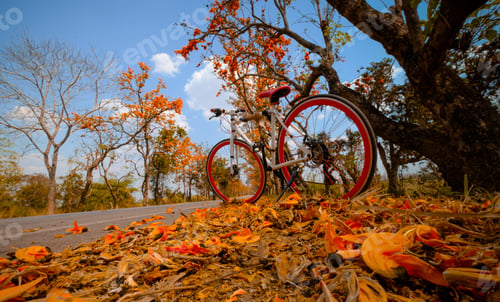 Preview: A bike parked on the road at full of beautiful orange flower background