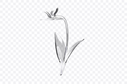 Preview: Bird Paradise Glass Art