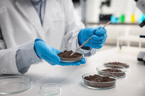 Preview: Scientist taking soil sample for research at white table in laboratory, closeup