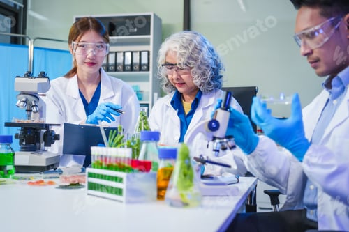 Preview: A male scientist and two women conduct plant research in a laboratory. microscopes, petri dishes