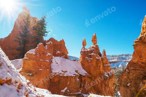 Preview: Winter Bryce
