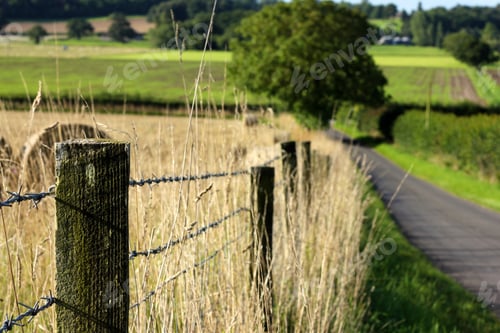 Preview: Fencing around hay field in countryside of England
