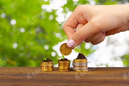 Preview: Seedlings grown on a coins stack in female palm