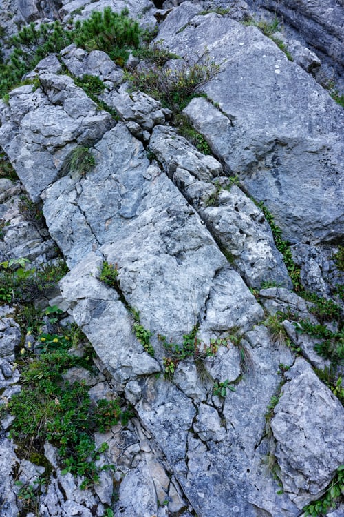 Preview: Rocky surface with grey stones and greenery
