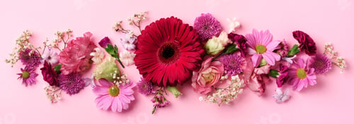 Preview: Spring composition of pink flowers on punchy pastel background with copy space. Creative layout