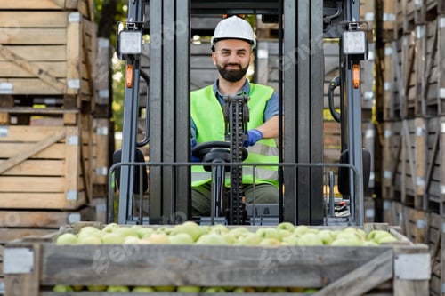 Preview: Work on warehouse, eco apples business concept