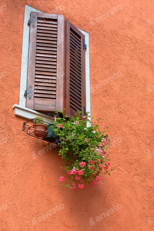 Preview: Old teracotta wall with bright red flowers